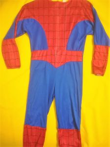 Kids Costumes to Hire - Spiderweb costume - CHILD